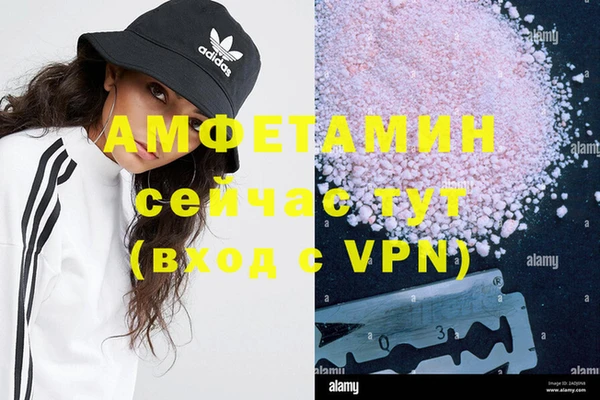 стаф Медногорск