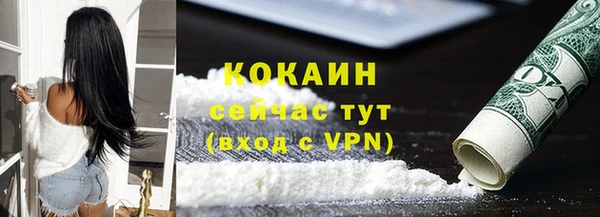 индика Мегион