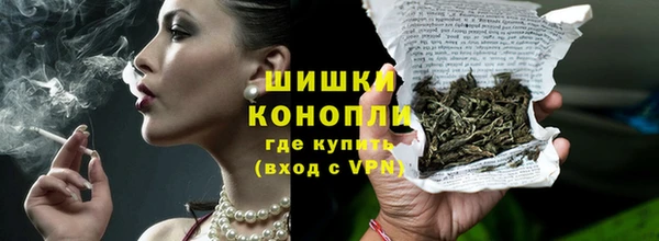 индика Мегион