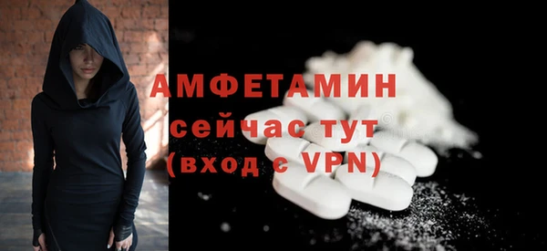 индика Мегион