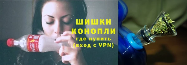 индика Мегион