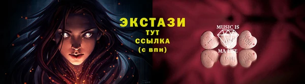 индика Мегион