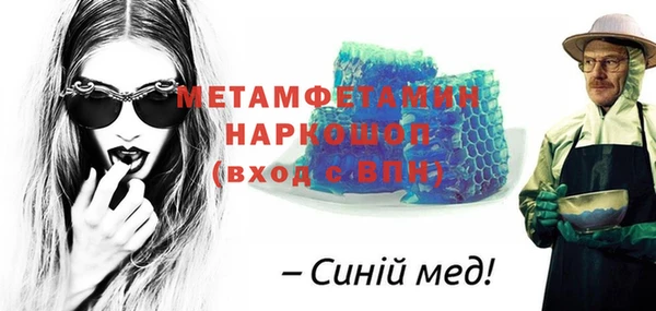 индика Мегион
