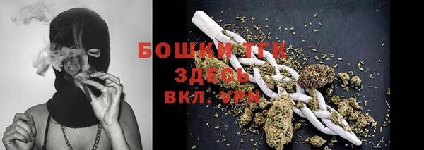 индика Мегион