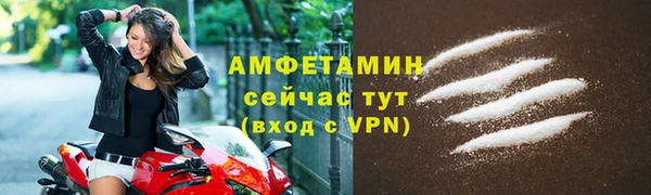 стаф Медногорск