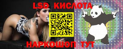 скорость Канаш
