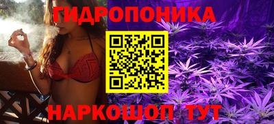 mdma Камышлов