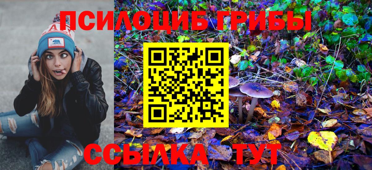 Мурино  Псилоцибиновые грибы Psilocybe  Псилоцибиновые грибы GOLDEN TEACHER  Вход с VPN 