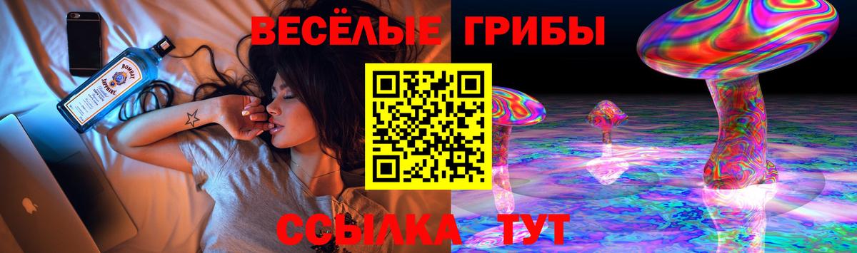 Галлюциногенные грибы Cubensis  Галлюциногенные грибы Psilocybine cubensis  где купить   Мурино 