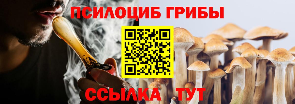 Псилоцибиновые грибы Magic Shrooms Мурино